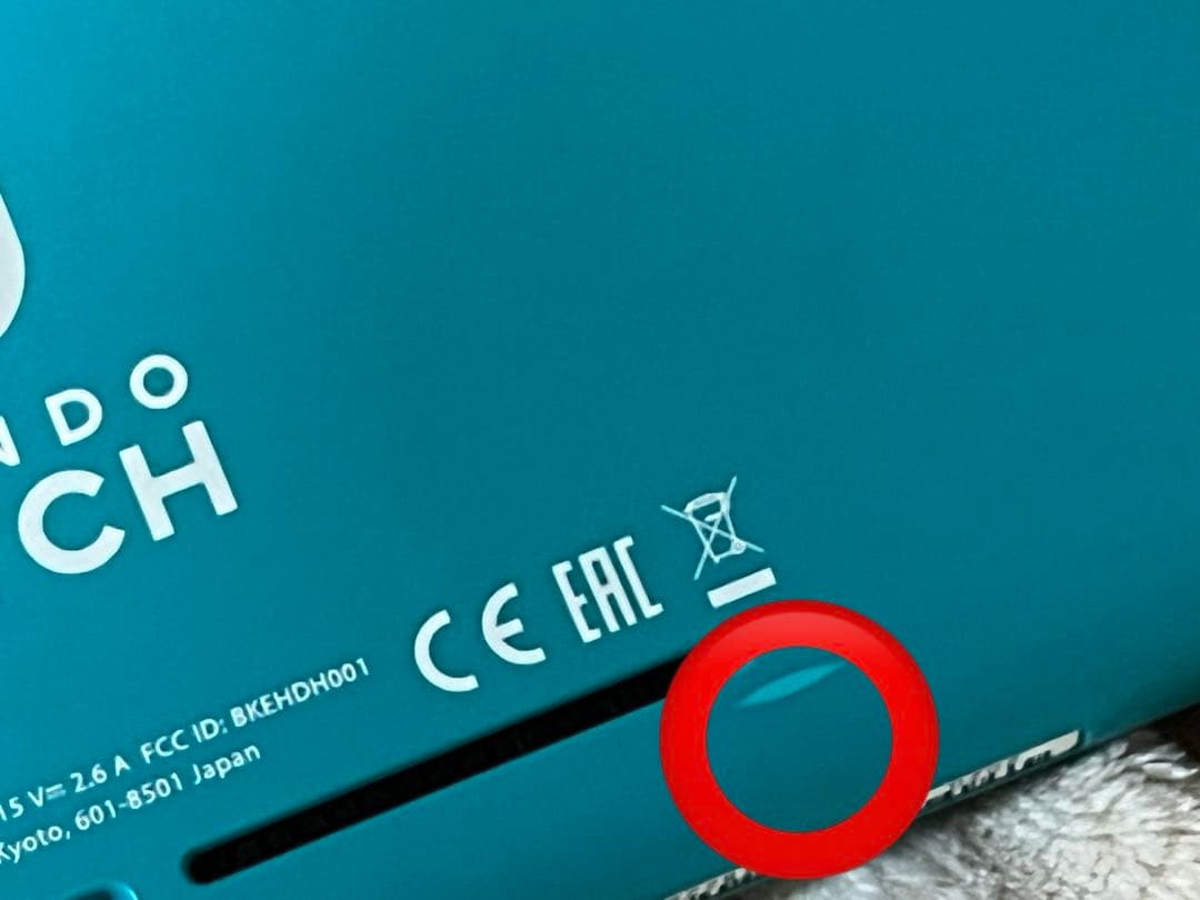 Switchライト　本体　ジャンク品