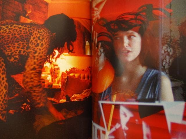 アート・デザイン・音楽 The Birds Didn't Die over the Winter