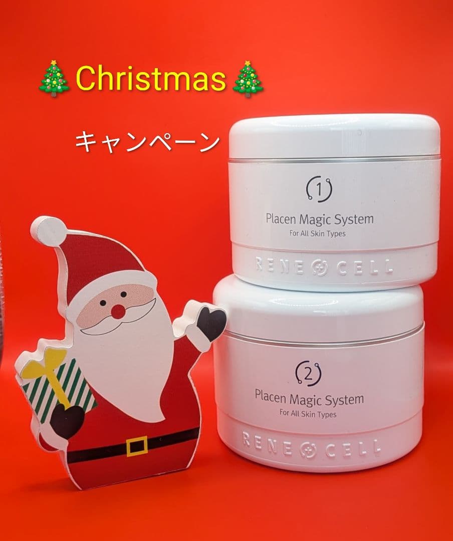 【Christmasキャンペーン】ルネセル マジックシステム　１剤＆２剤セット