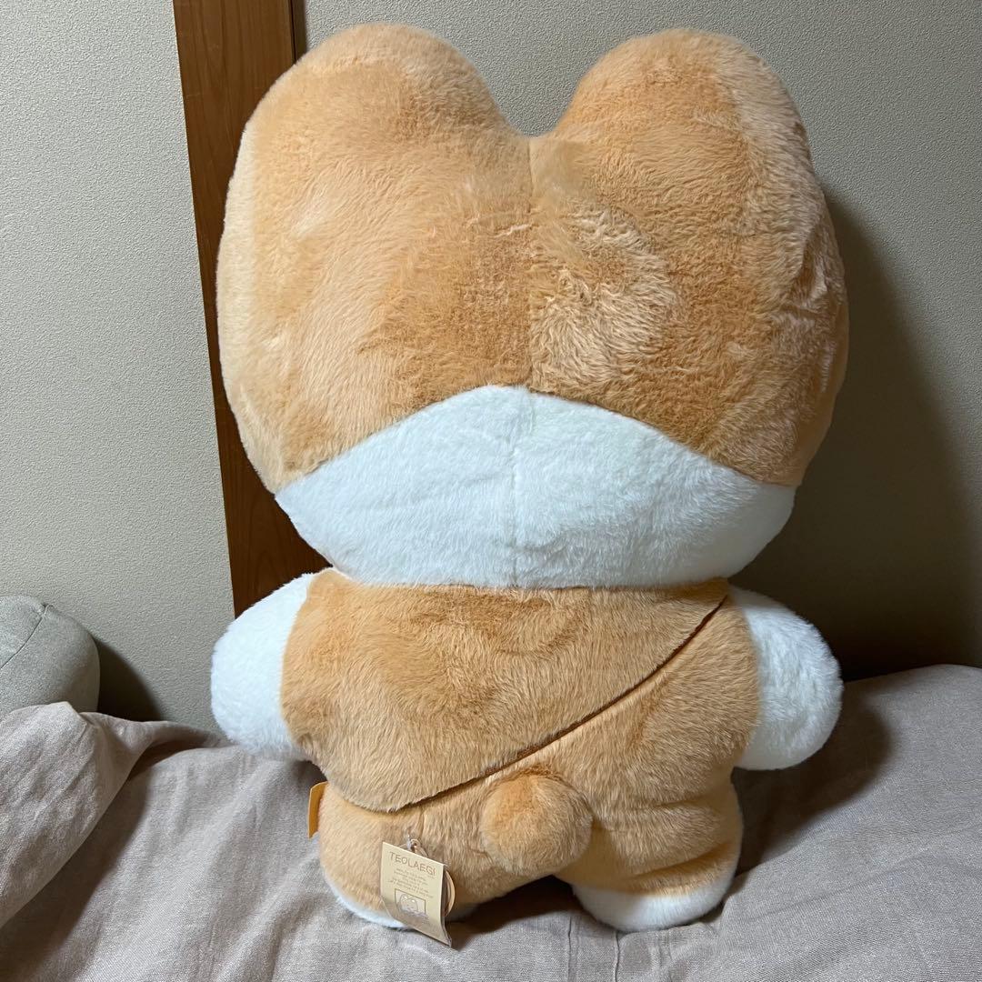 トレギ ベッキョン ぬいぐるみ 80cm