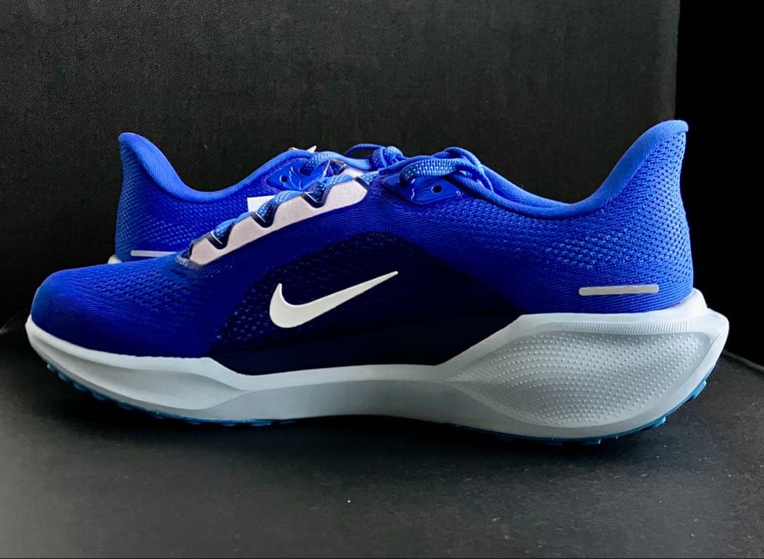 （廃番カラー、完全未使用品）NIKE エアズーム ペガサス 41
