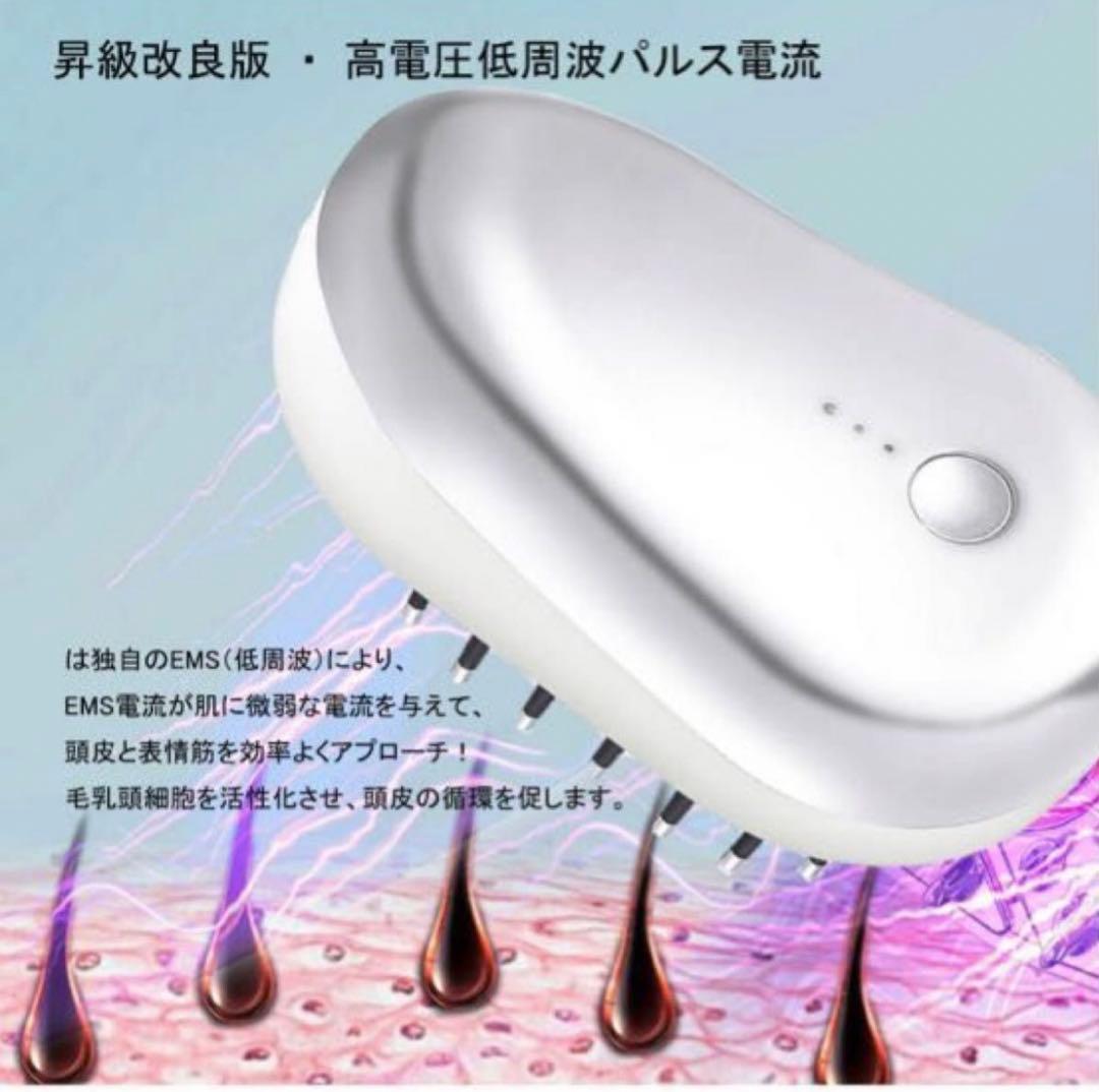 電動頭皮ブラシ EMS機能 スカルプケアブラシ 3D振動 LED光エステ