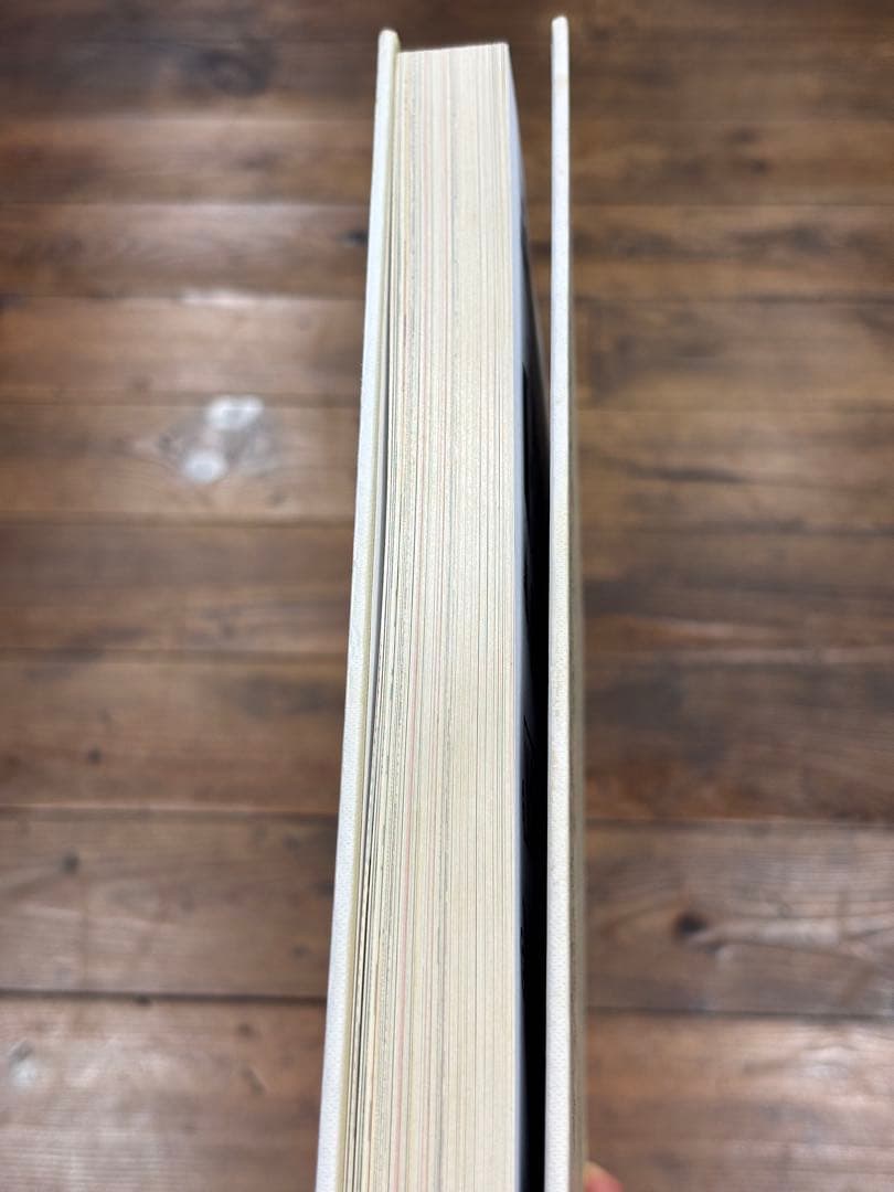 アート・デザイン・音楽 The Dancehall Art Of Wilfred Limonious