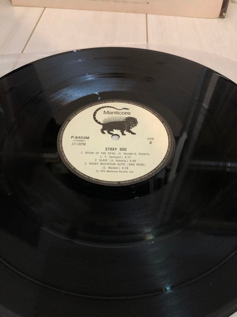 Stray Dog /Greg Lakeプロデュース　LPレコード