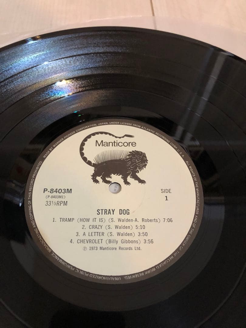 Stray Dog /Greg Lakeプロデュース　LPレコード