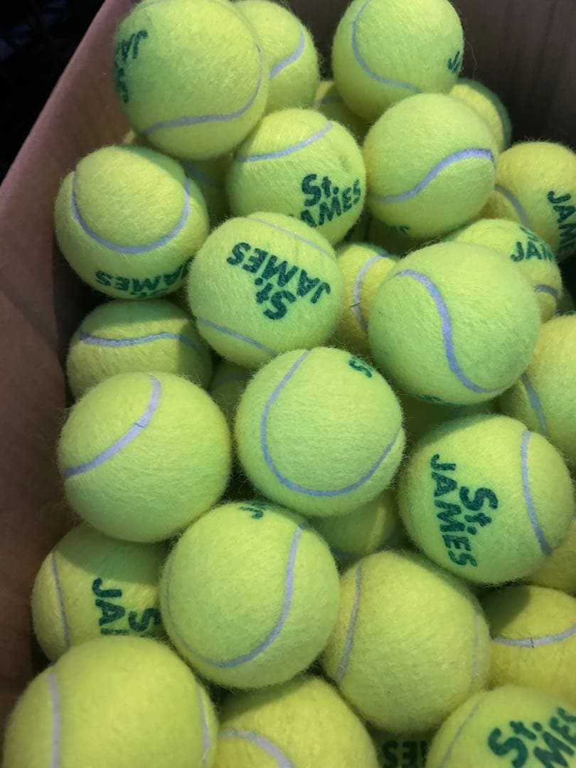 1試合のみ使用テニスボール100球