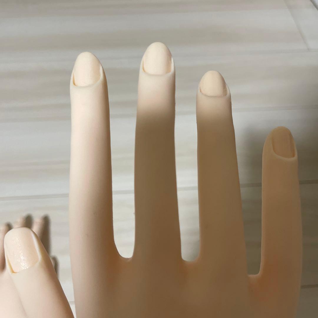 JNEC認定モデルハンド　1シート甘皮シール付き