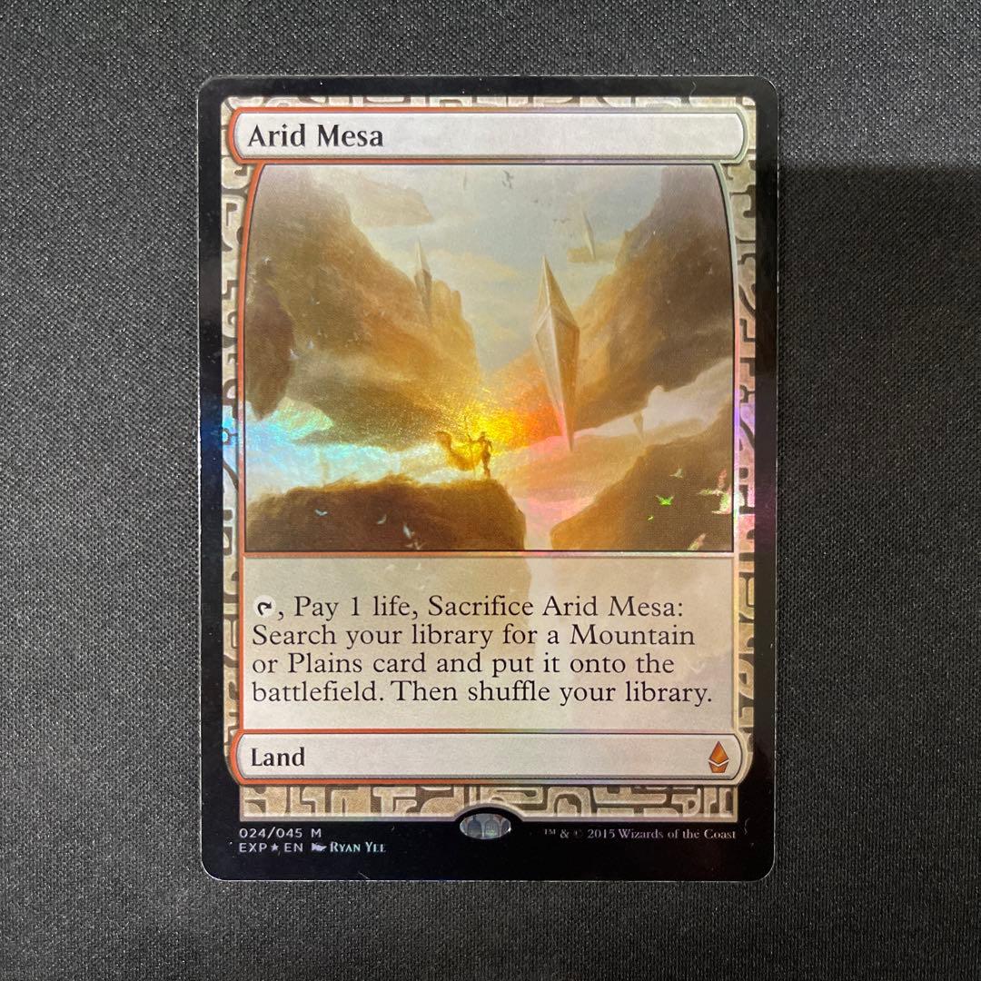 Arid Mesa 乾燥大地 FOIL 024/045 MTG