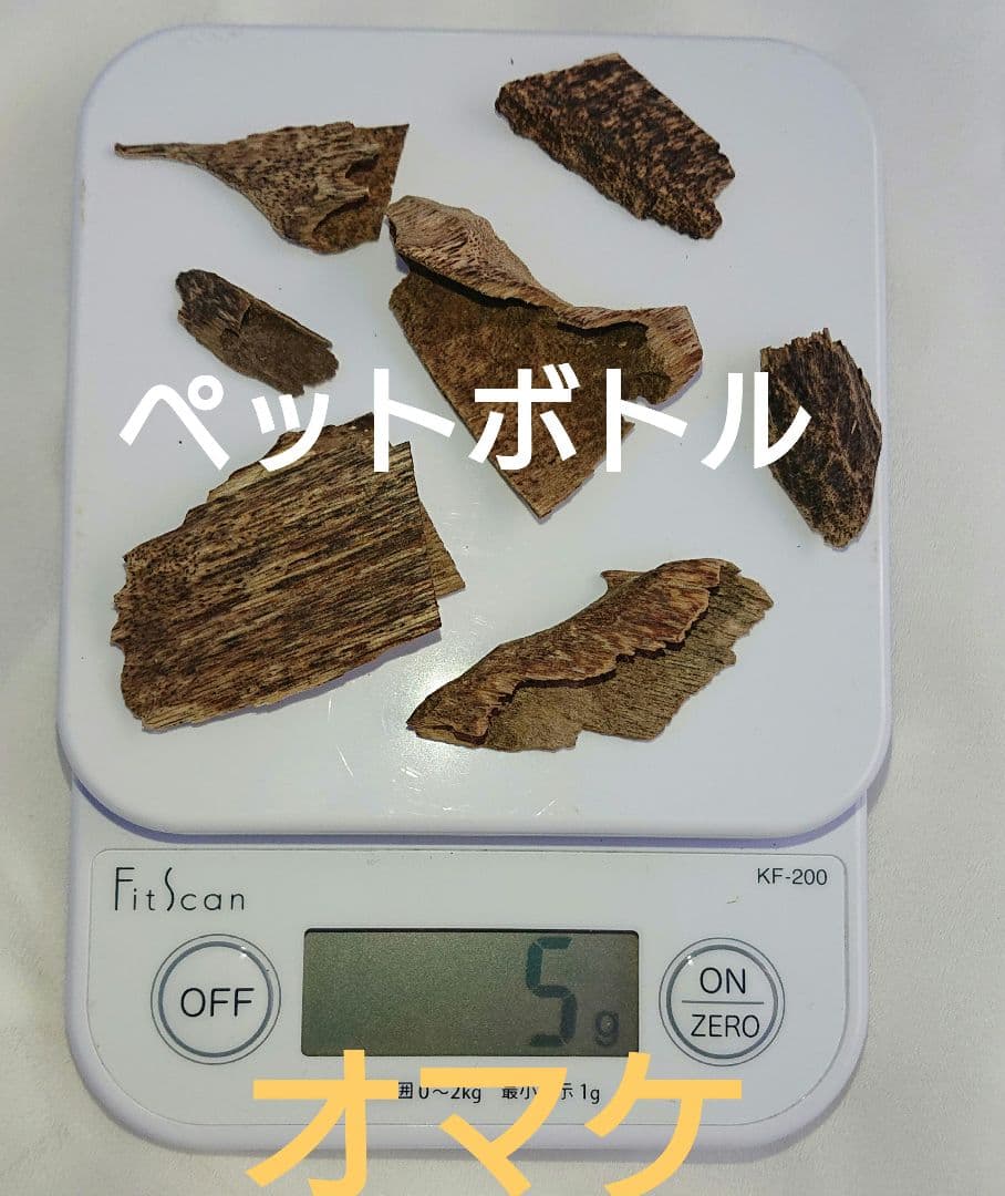 カンボジア産 奇形種 原木 一部 おまけ付き