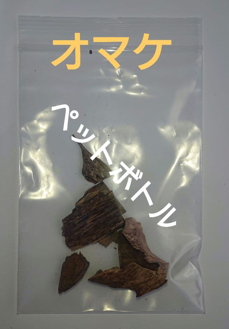 カンボジア産 奇形種 原木 一部 おまけ付き