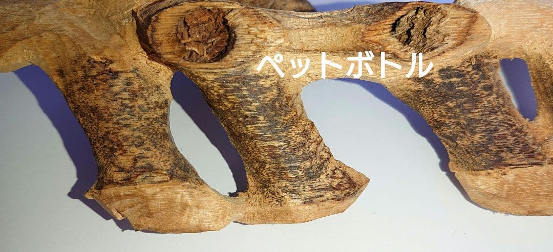 カンボジア産 奇形種 原木 一部 おまけ付き