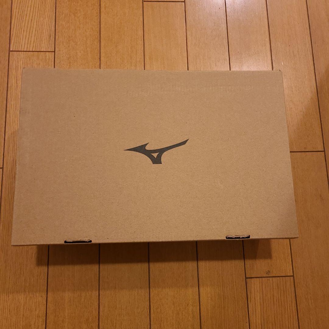 ミズノプロ トレーニングシューズ 27.0㎝