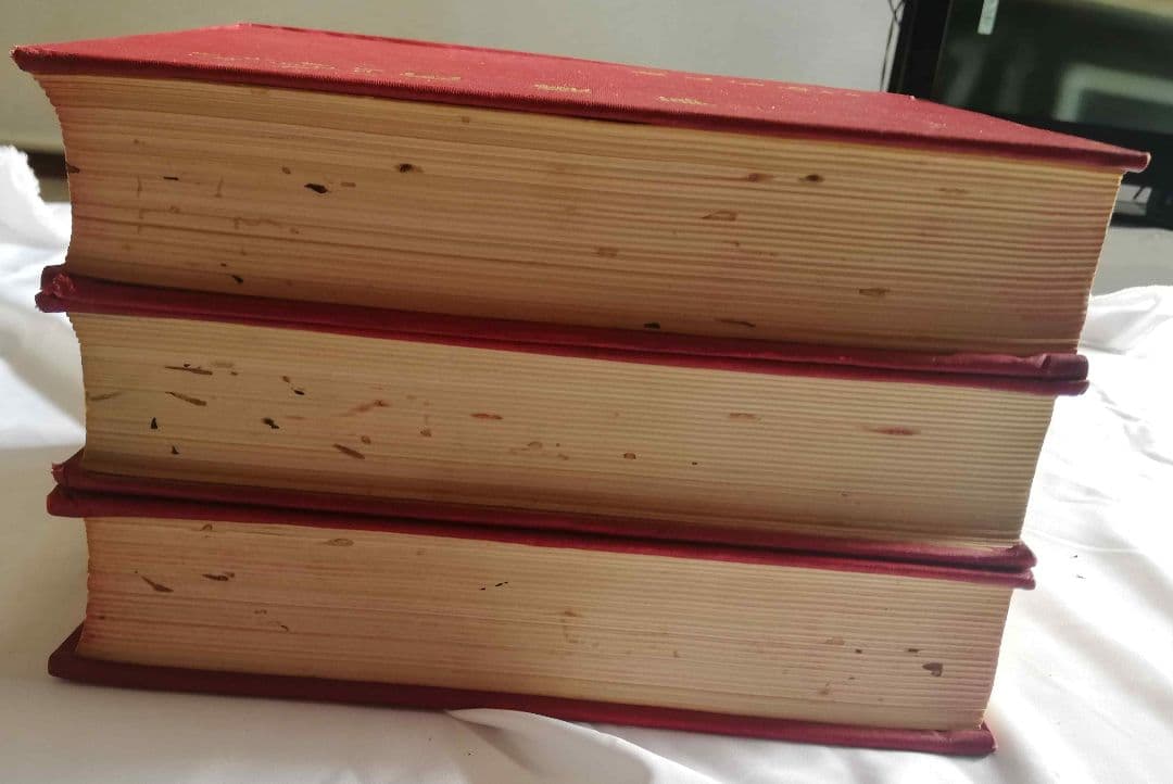 紅楼夢 (上・中・下) 3冊セット アンティーク 古書