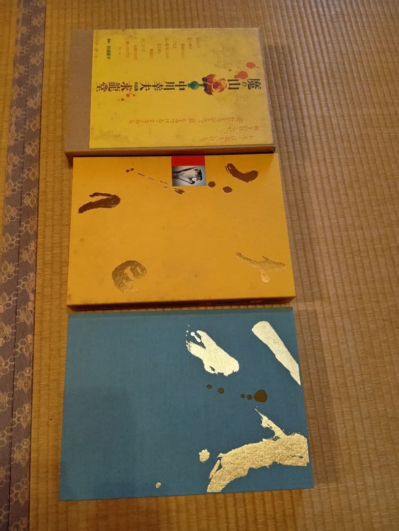 魔の山 中川美術 作品集