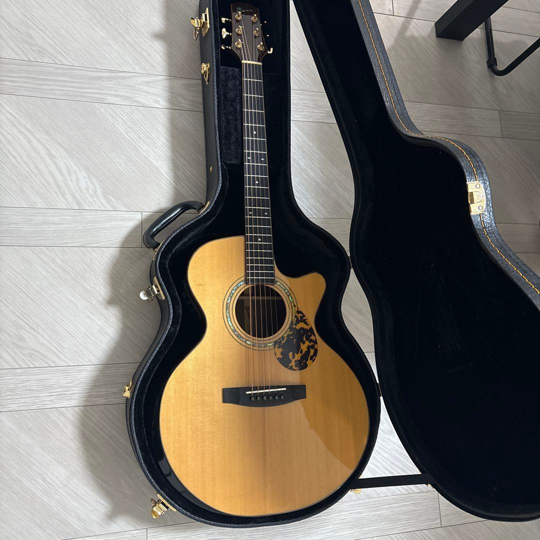 ギター Rosso SJ-841C