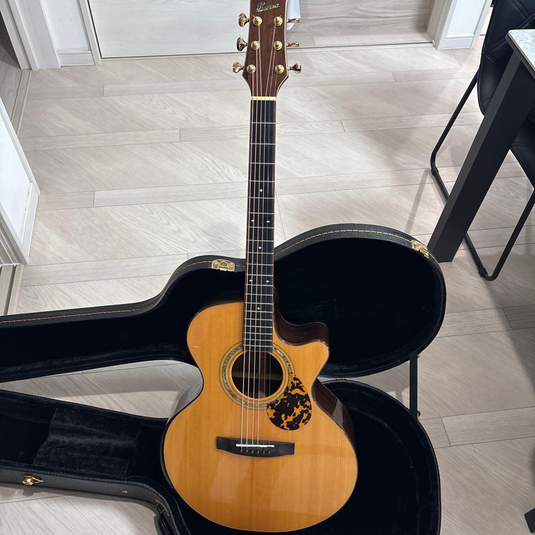 ギター Rosso SJ-841C