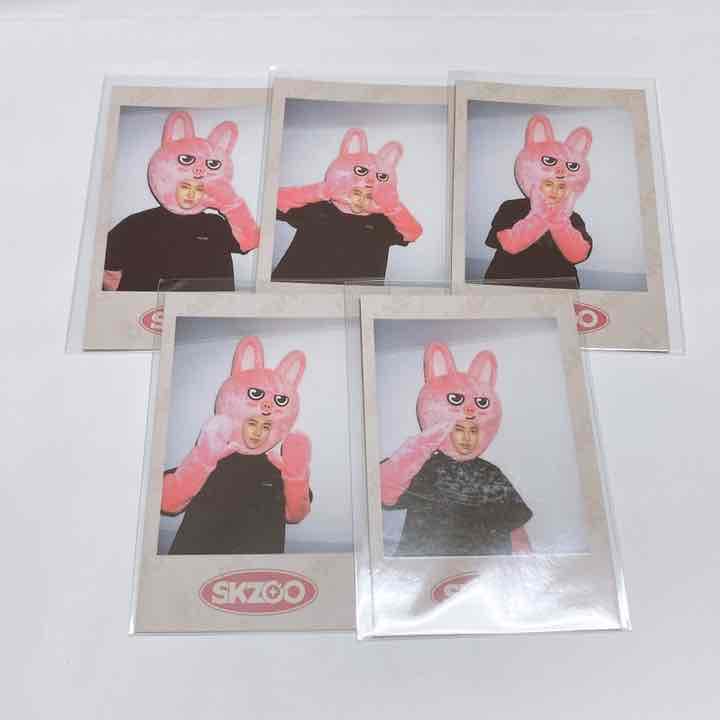 StrayKids SKZOO ポラロイド チャンビン