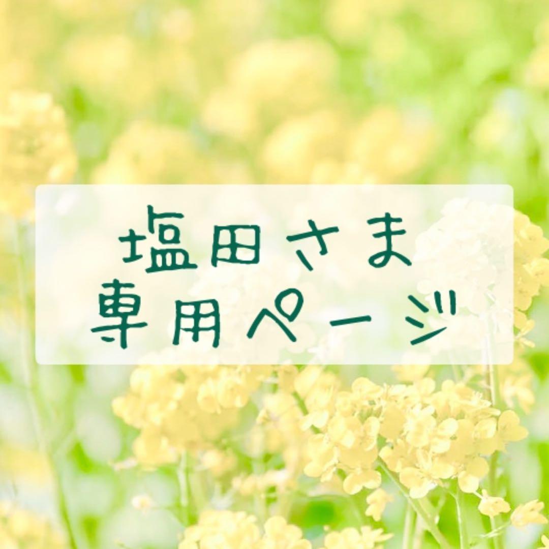 塩田さま　専用ページ②