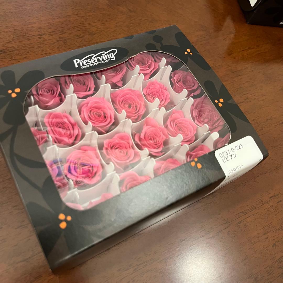 20 プリザーブドフラワー　大地農園　まとめ売り　ビビアン　かのん