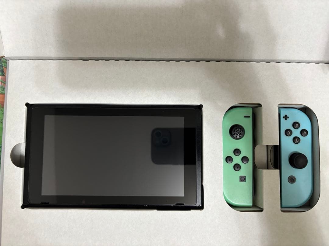 即購入可　Nintendo Switch あつまれどうぶつの森 デザイン