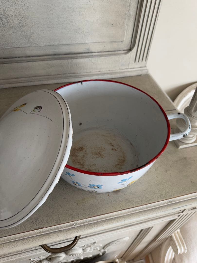 フランスアンティークJapy社小鳥とベリーのホーロースーピエールチューリーン