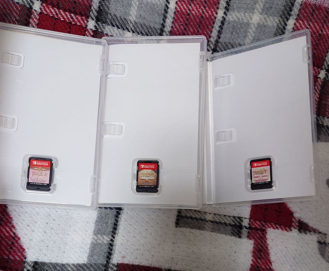 Wand of Fortune RワンドオブフォーチュンSwitchソフト