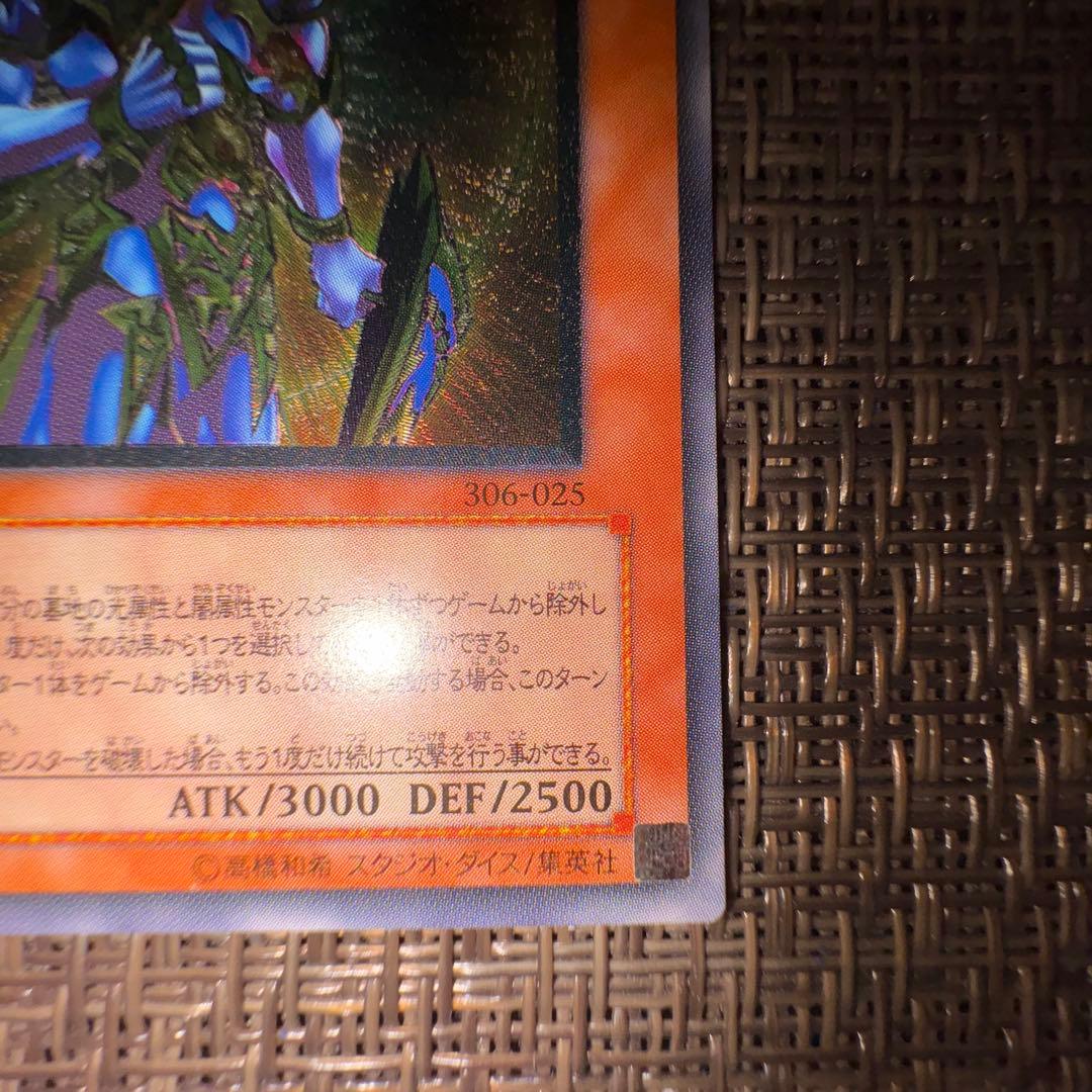 遊戯王　カオスソルジャー開闢の使者　レリーフ