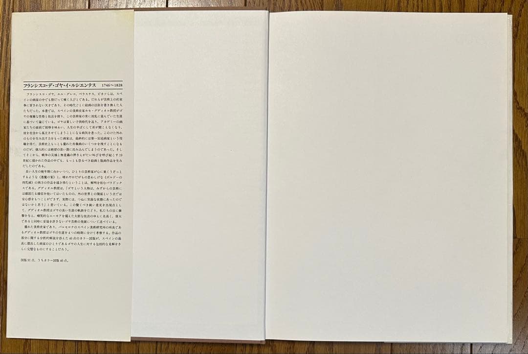 大型美術書 ゴヤ GOYA 作品集 フランシスコ・デ・ゴヤ 美術出版社