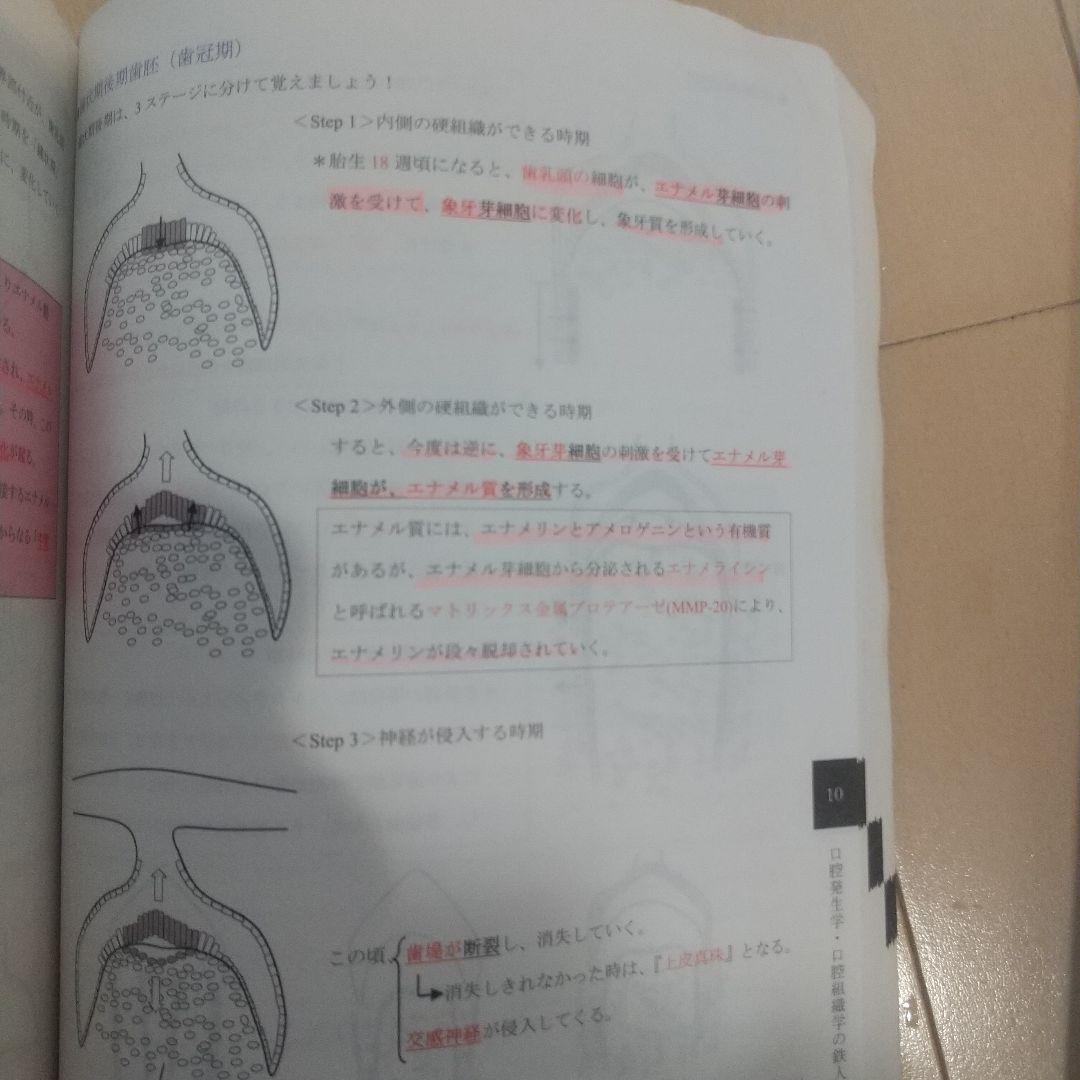 国試の鉄人 上下セット