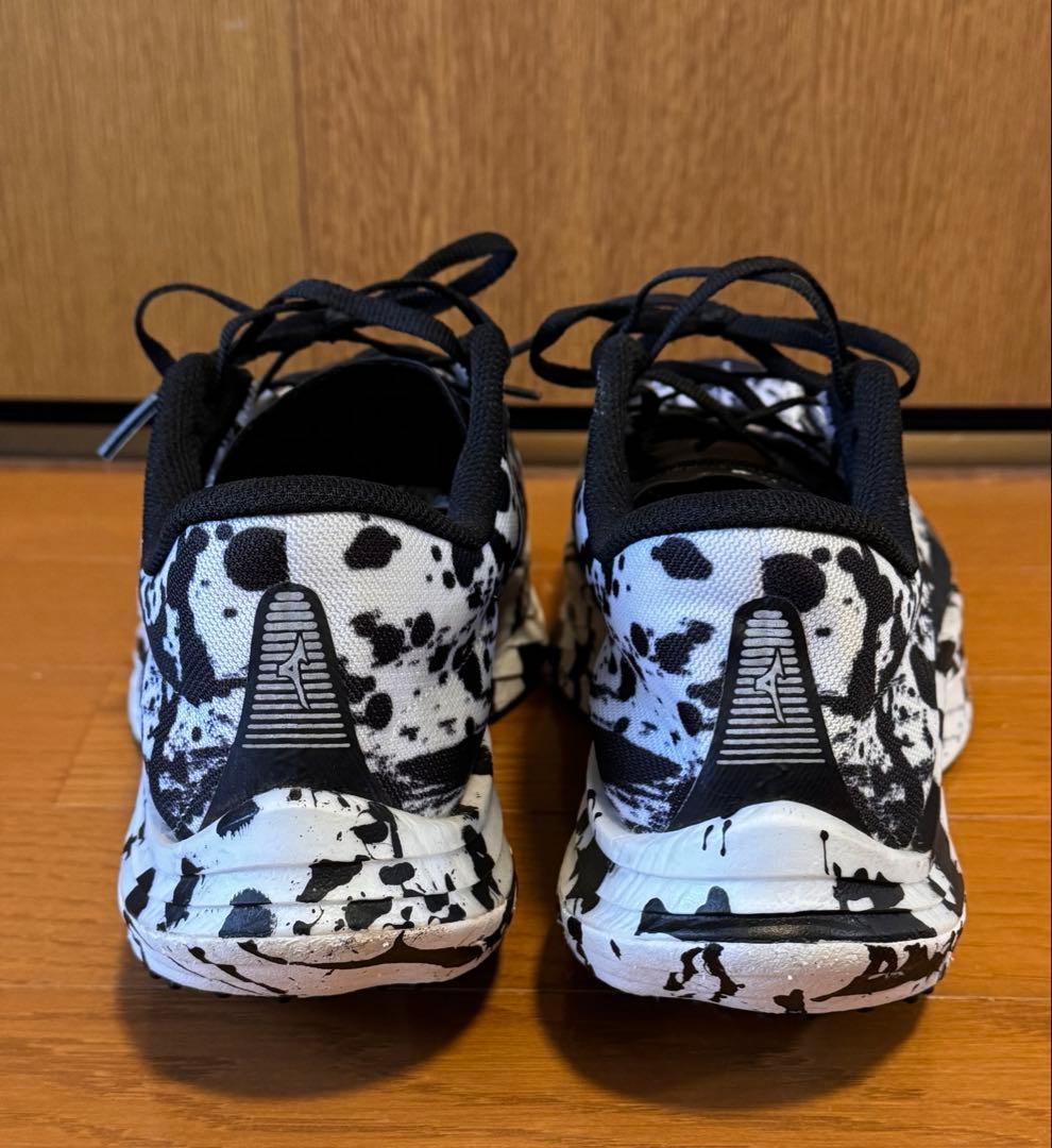 ミズノ ウエーブリベリオンプロ 書き初めカラー