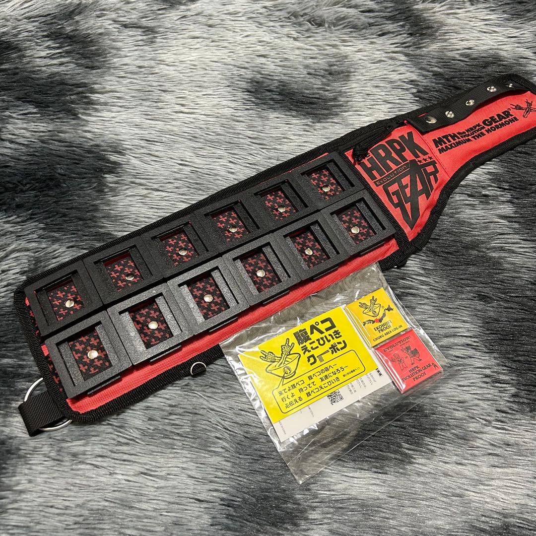 マキシマムザホルモン　腹ペコ・エボリューションギア＆プルーフ×2