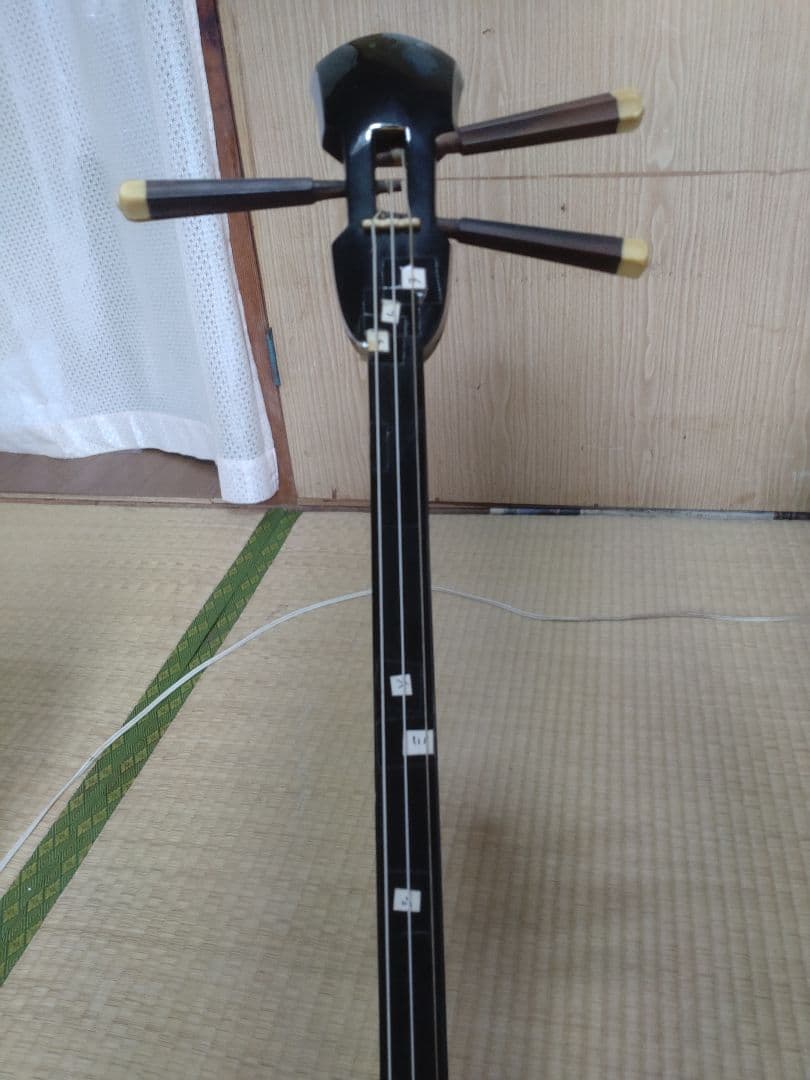 沖縄三味線本体 ヘビ皮製 3弦 蛇模様ハードケース付