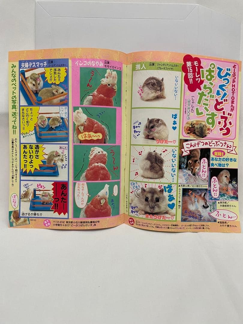 漫画　 Pi Pi Piアドベンチャー　ちゃお　切抜き　1999年　コダック