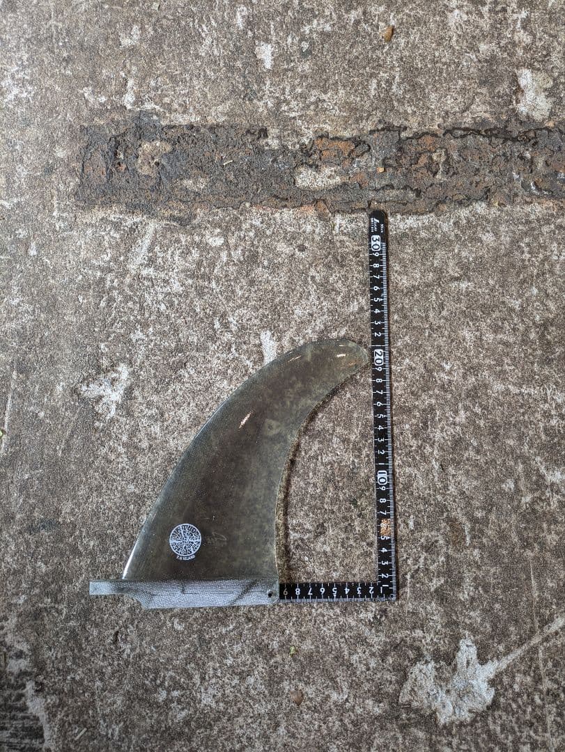 ジョエル・チューダー　7.5 