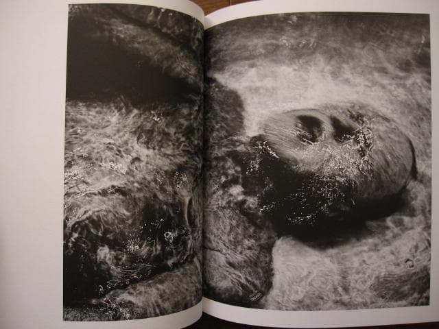 Ending Leif Sandberg : レイフ・サンドバーグ 限定455部