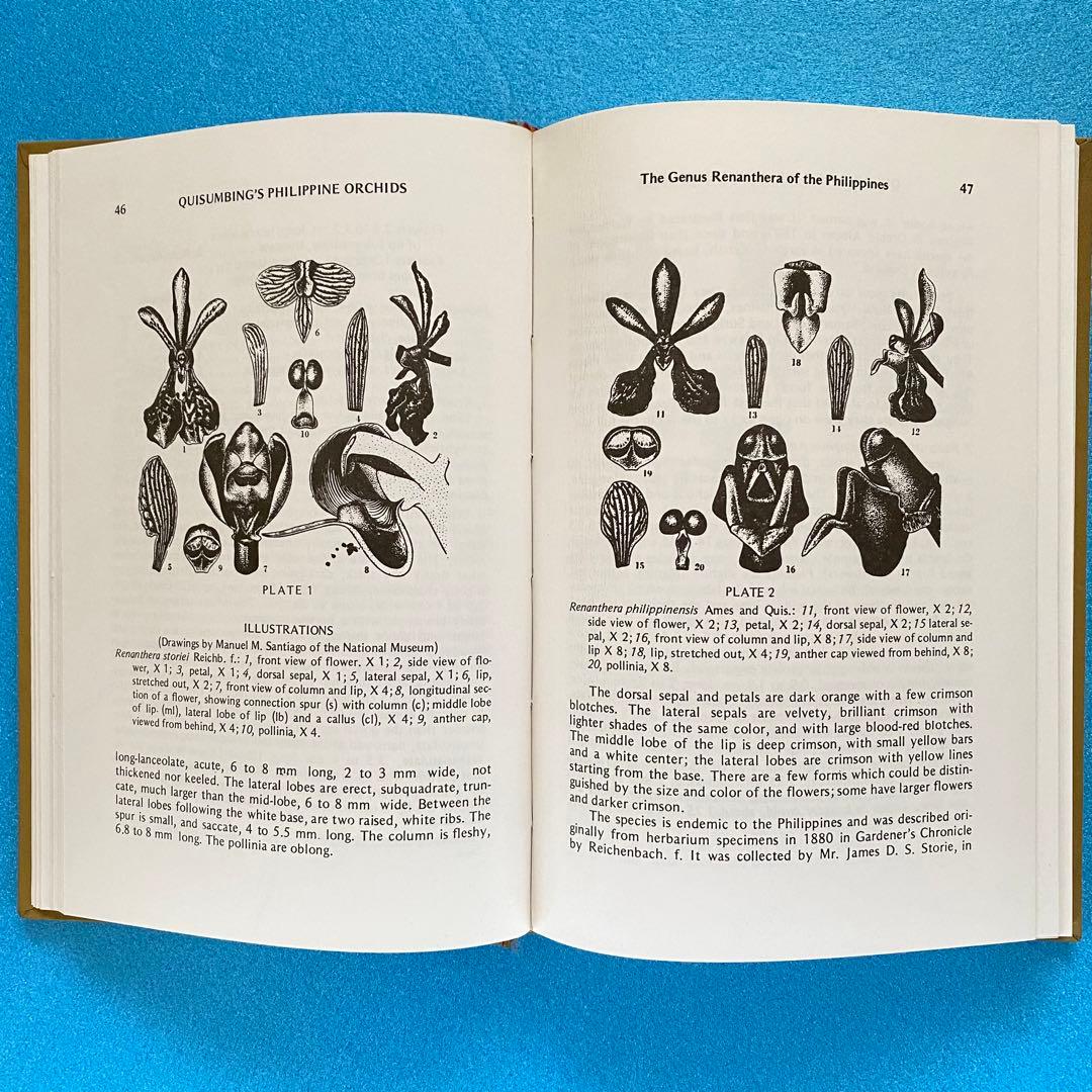 【洋書】フィリピン産ラン科植物