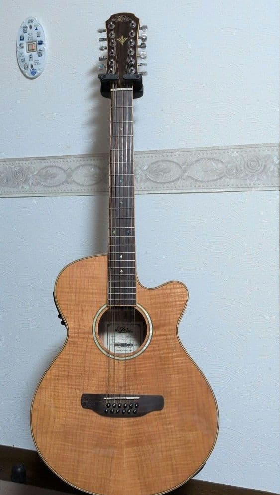 Aria Est 1956 12弦ギター