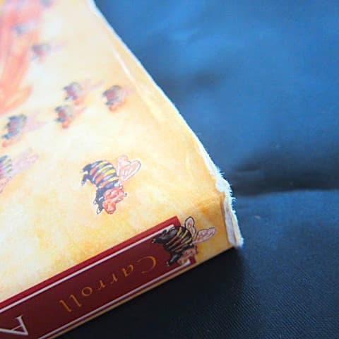 本36／洋書絵本　不思議の国のアリス