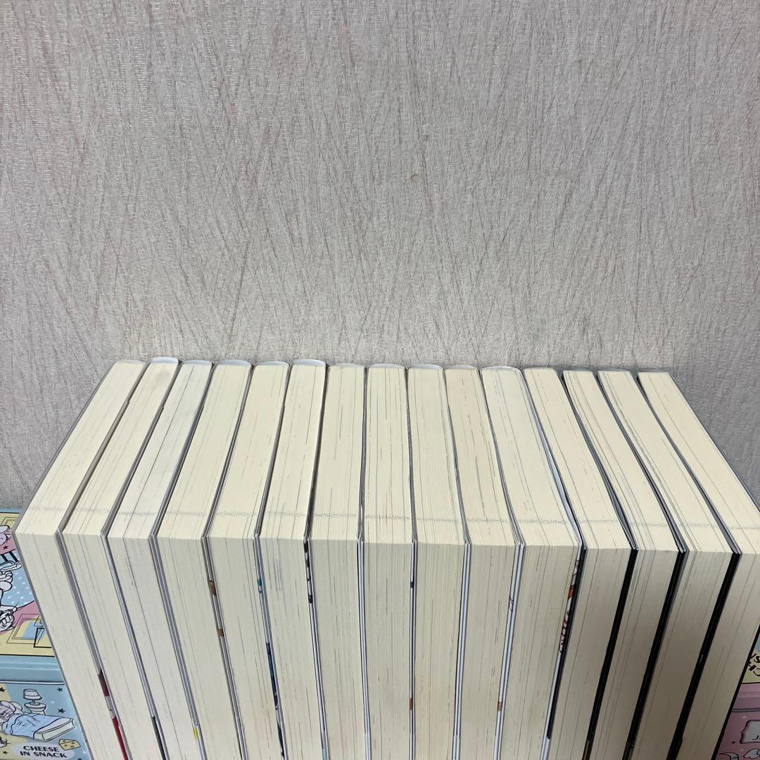 転生した大聖女は、聖女であることをひた隠す 1〜11 ZERO 1〜4