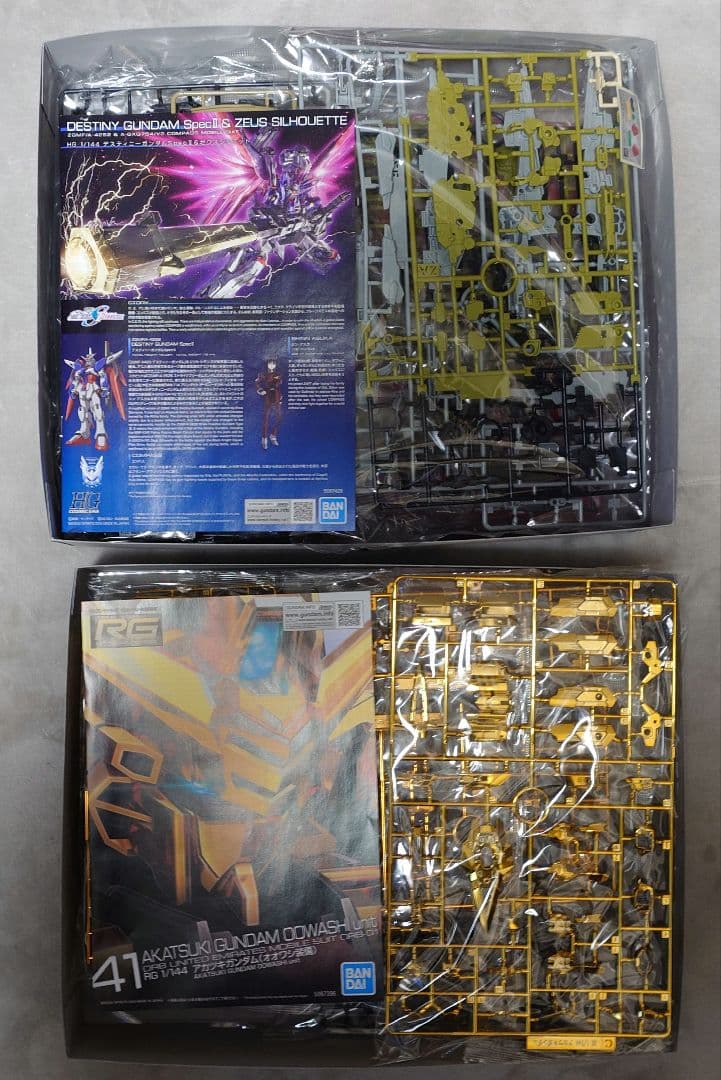 【新品】HG デスティニー ゼウスシルエット＆RG アカツキガンダム