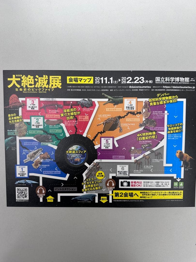 大絶滅展 ゾイド セット販売 新品未開封 入場特典付き