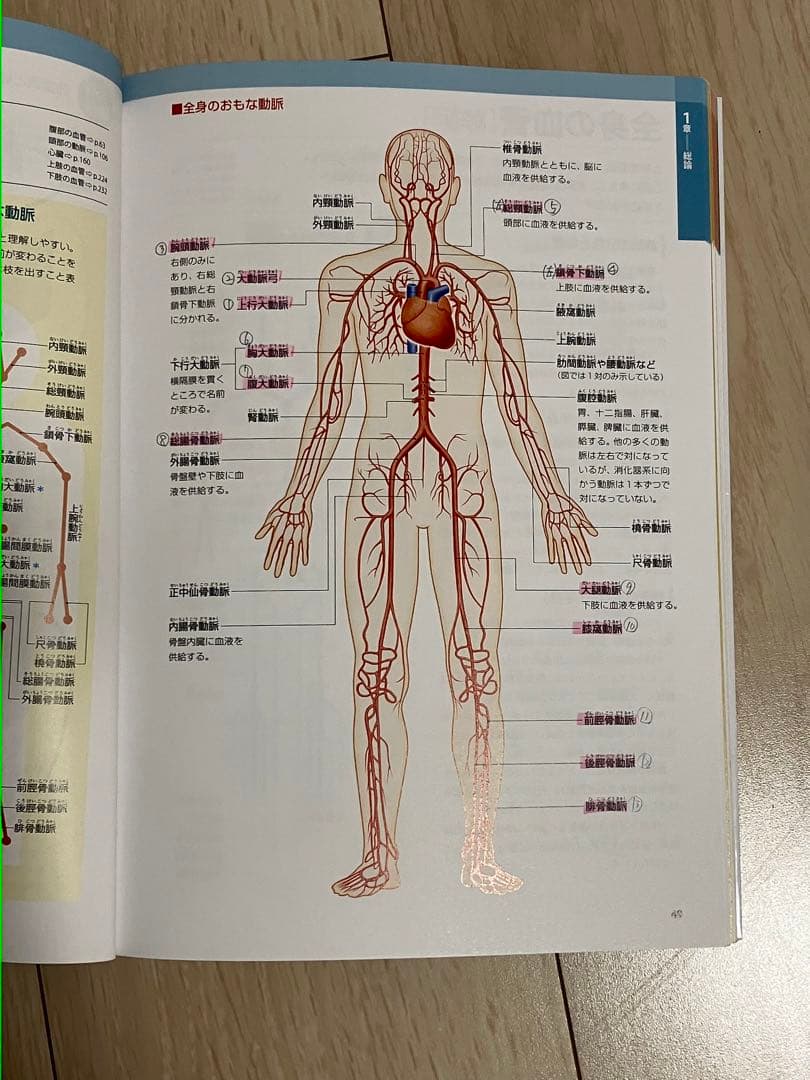 薬学部 教科書 参考書 1冊500円〜