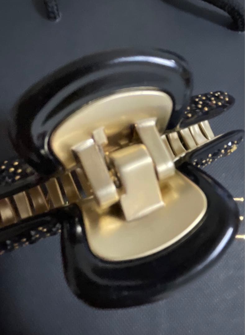 アレクサンドルドゥパリ　クリップＧＭサイズ（Lサイズ）　1個