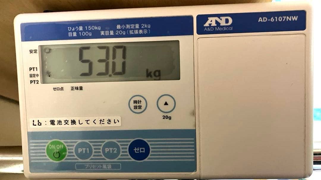 手すり付きデジタル体重計 AND AD-6107NW