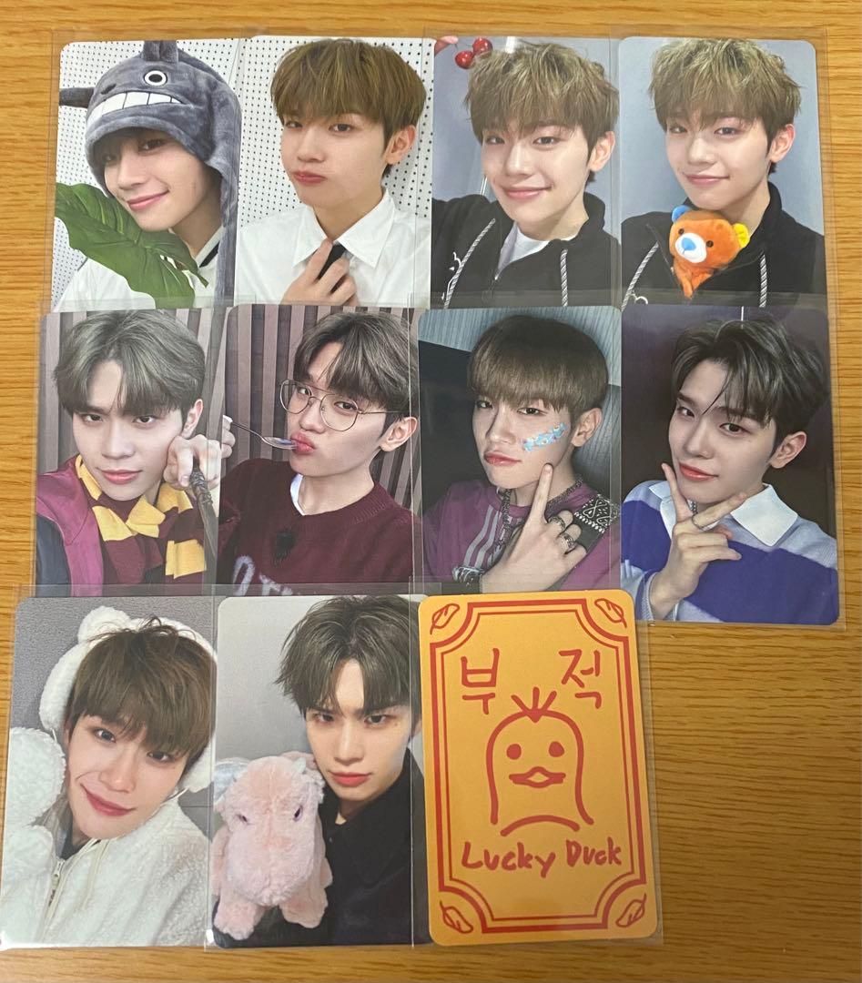 テレ everline 魔法使い ドラゴン トトロ ネクタイ 特典 ゼベワン