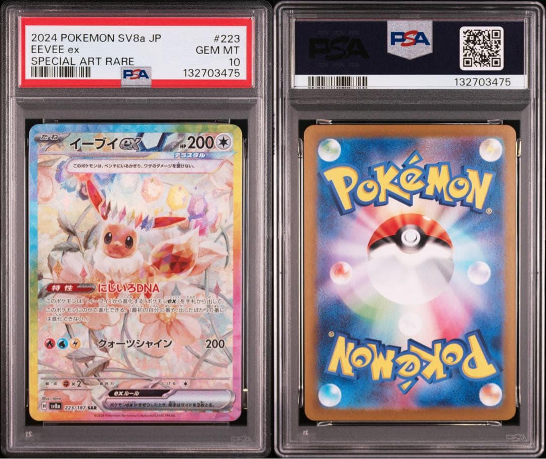 【 PSA10.10連番】ブイズ　SAR テラスタルフェスex ブラッキー