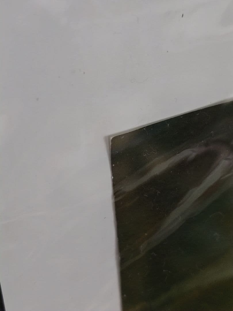 SHU Alice of Diamond ポスター 非売品 アリス 額装 大きめ