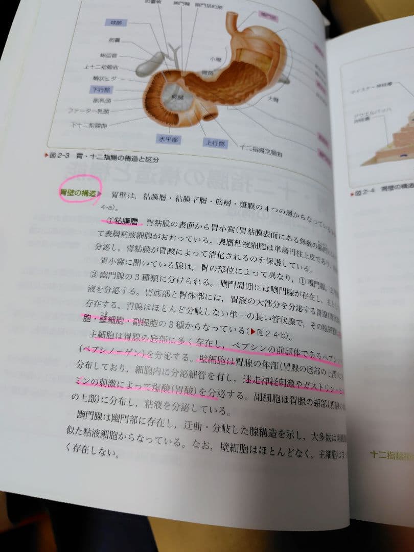 看護 国家試験 対策 教材 テキスト 参考書　34冊