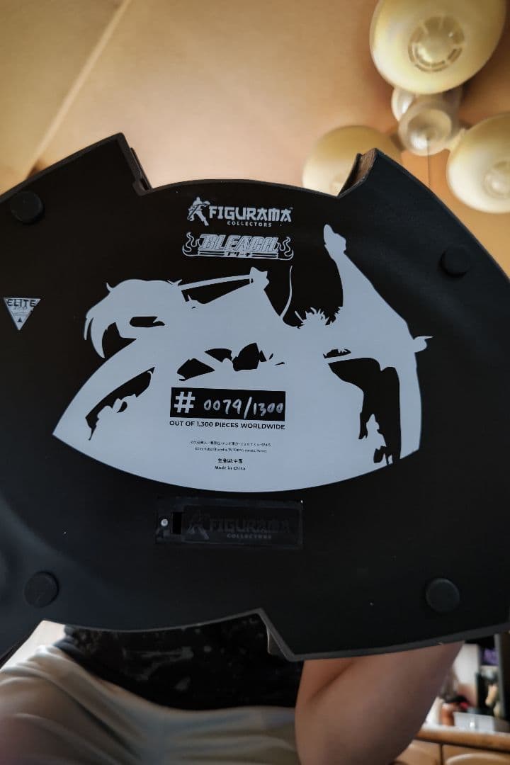 BLEACH ガレージキット