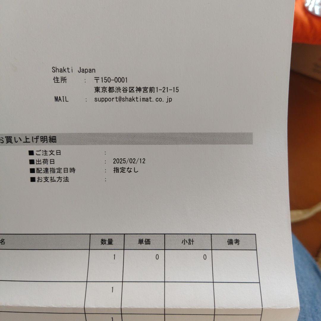 【正規品】SHAKTI MAT シャクティーマット&ピローセット